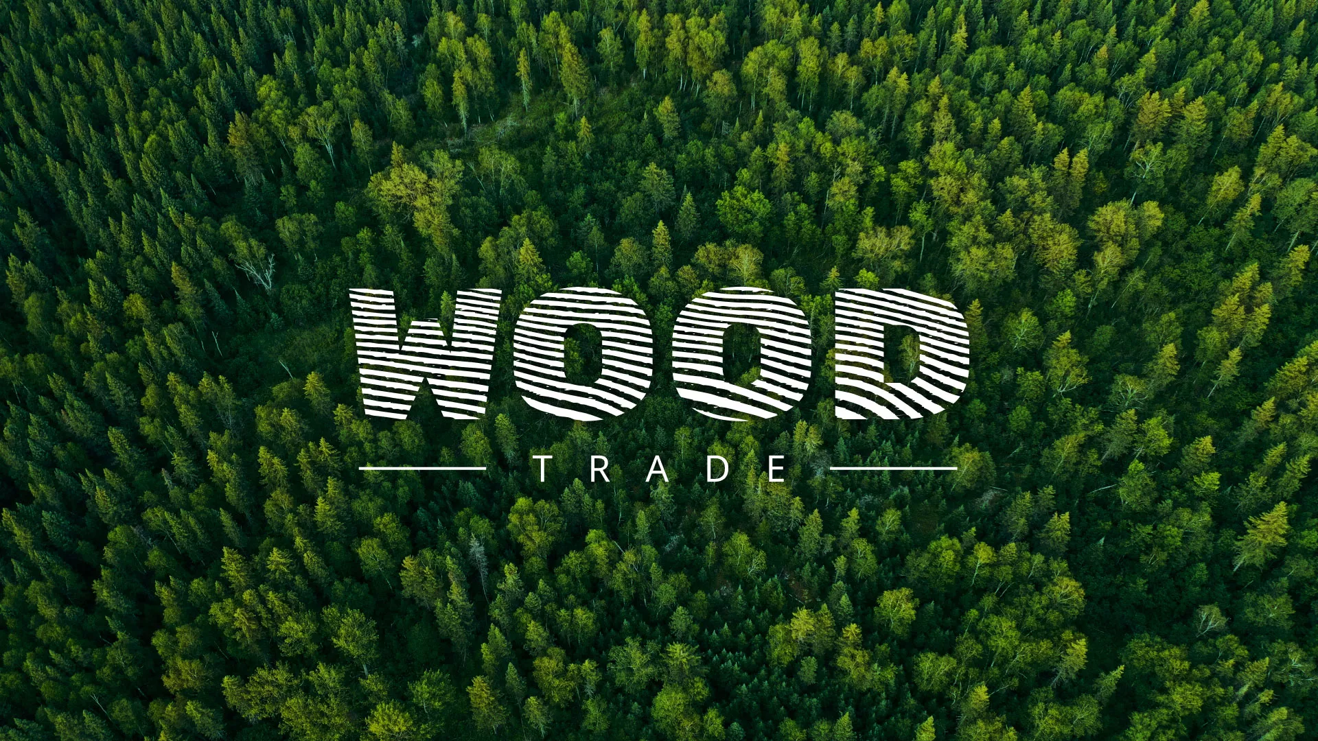 Разработка интернет-магазина компании «Wood Trade» в Качканаре